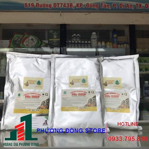 PMs 100CP